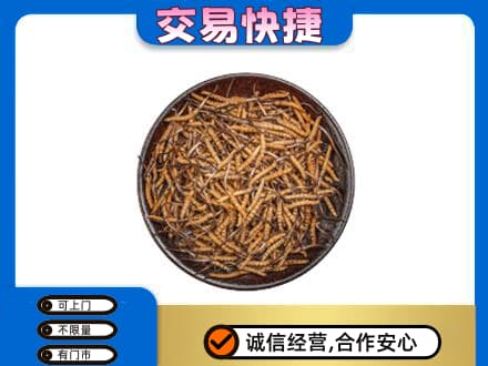 淮北礼品回收虫草.jpg